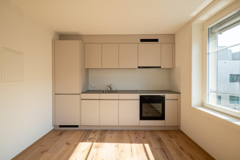 Moderne Studiowohnung mit Altbaucharme (4)