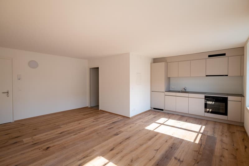 Moderne Studiowohnung mit Altbaucharme (5)