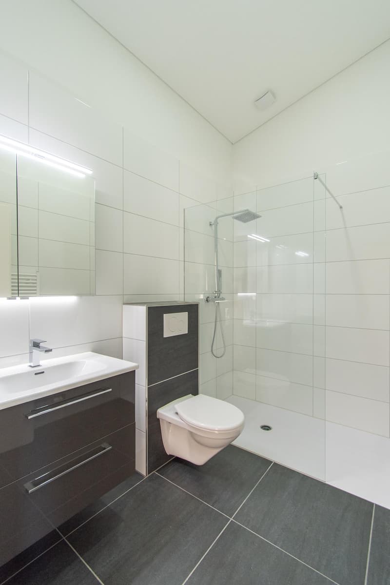 Bright and modern 3.5 room apartment (6)