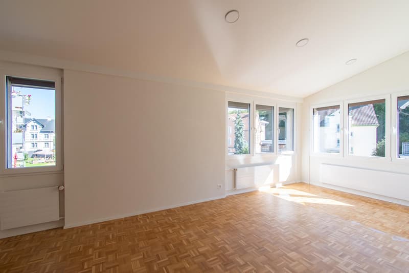Bright and modern 3.5 room apartment (3)