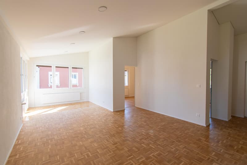 Bright and modern 3.5 room apartment (2)