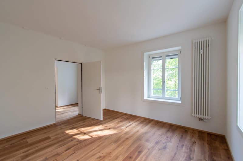 Charmante 2.5 Zimmer-Wohnung (6)