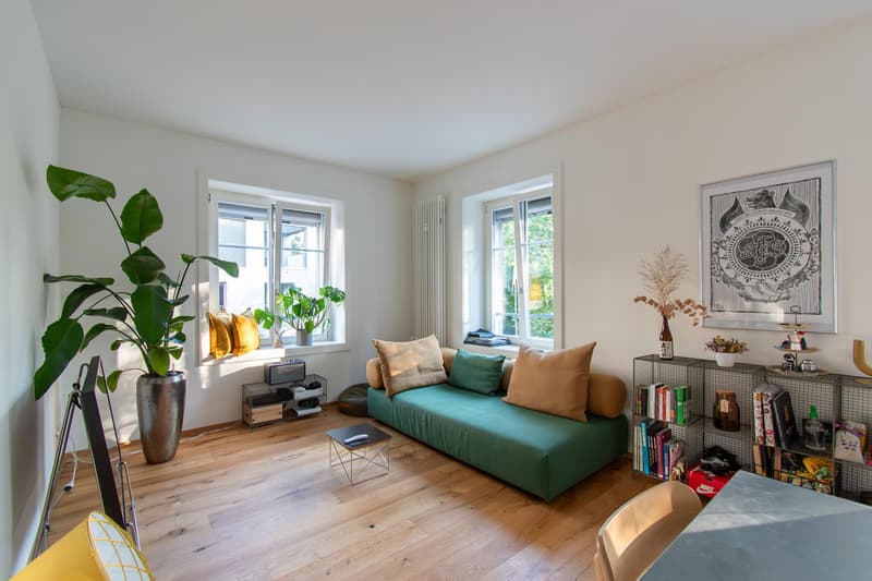 Charmante 2.5 Zimmer-Wohnung (1)