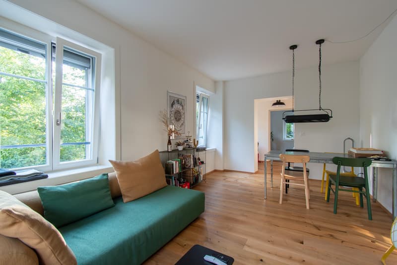 Charmante 2.5 Zimmer-Wohnung (2)