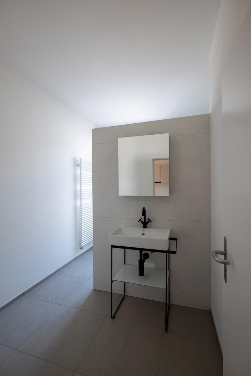 Charmante 2.5 Zimmer-Wohnung (12)