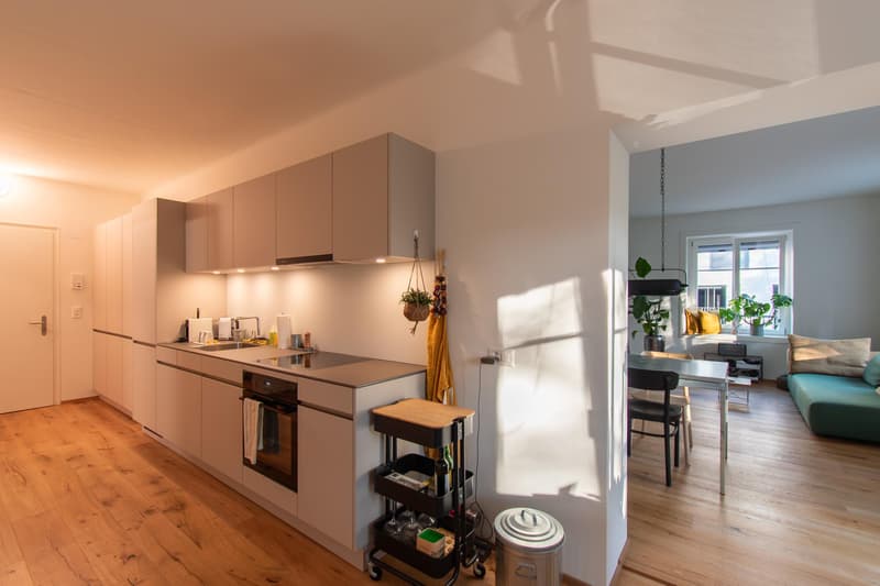 Charmante 2.5 Zimmer-Wohnung (5)