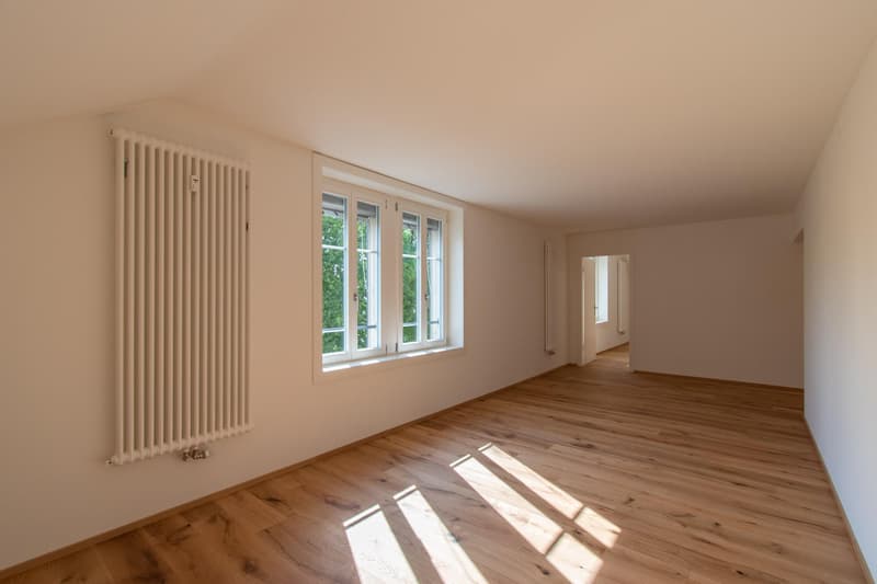 Moderne 2.5 Zimmer-Wohnung mit Altbaucharme (1)