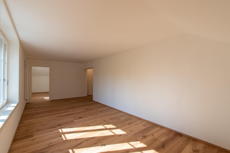 Moderne 2.5 Zimmer-Wohnung mit Altbaucharme (2)