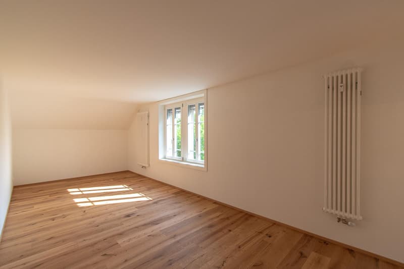 Moderne 2.5 Zimmer-Wohnung mit Altbaucharme (4)