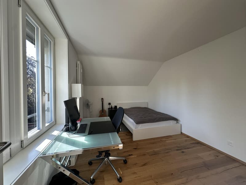 Moderne 2.5 Zimmer-Wohnung mit Altbaucharme (9)