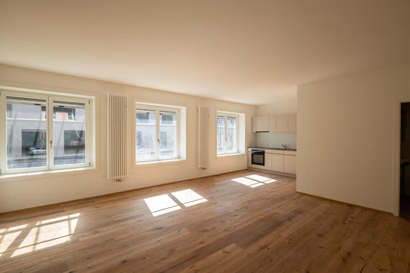 Moderne Studiowohnung mit Altbaucharme (1)