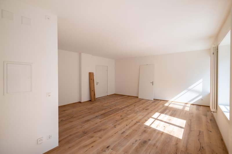 Moderne Studiowohnung mit Altbaucharme (5)