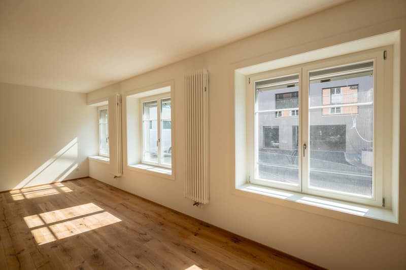 Moderne Studiowohnung mit Altbaucharme (2)
