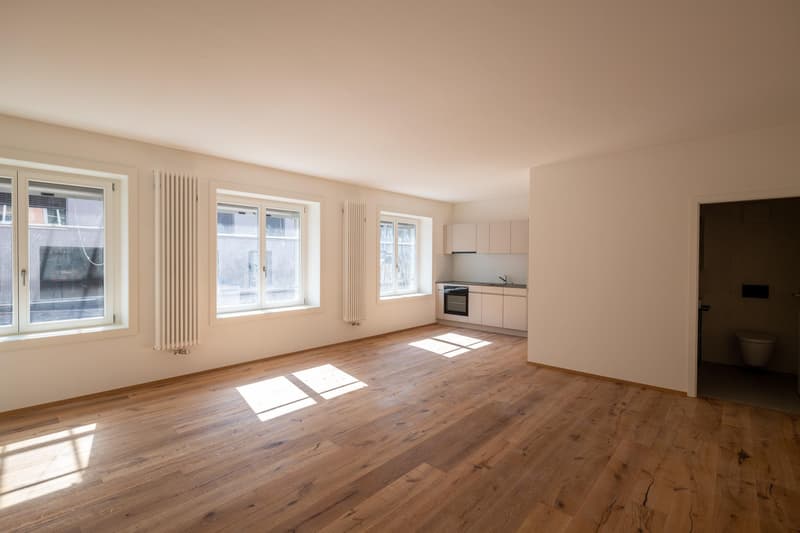 Moderne Studiowohnung mit Altbaucharme (6)