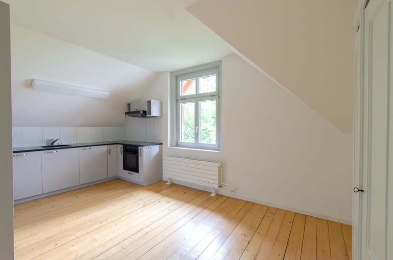 Charmvolle 4.5 Zimmer-Dachwohnung (4)