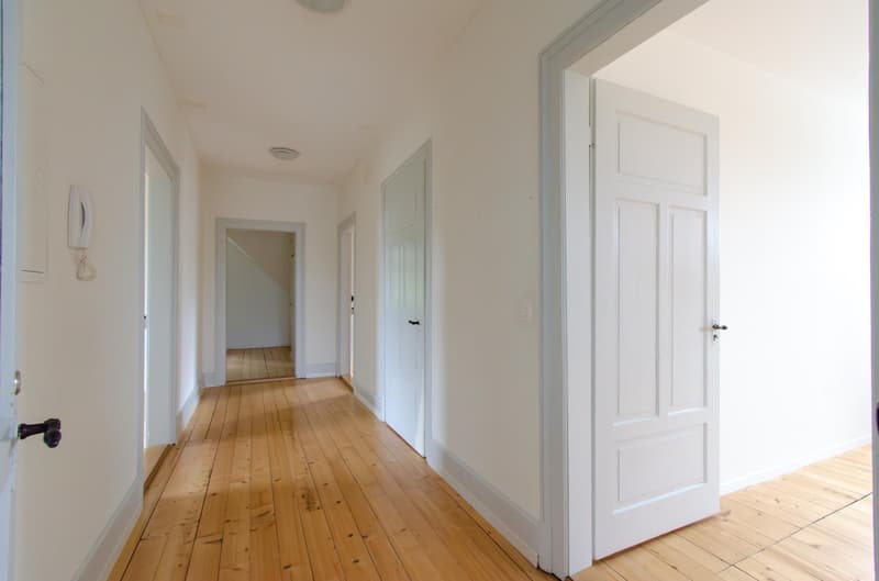Charmvolle 4.5 Zimmer-Dachwohnung (1)