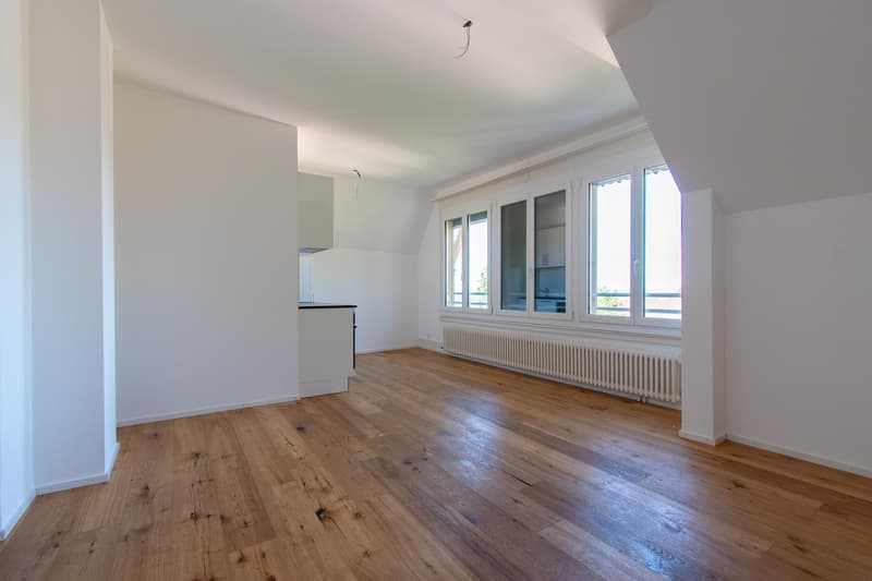 Heimelige 2.5 Zimmer-Dachwohnung (4)