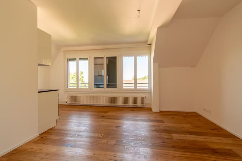 Heimelige 2.5 Zimmer-Dachwohnung (5)