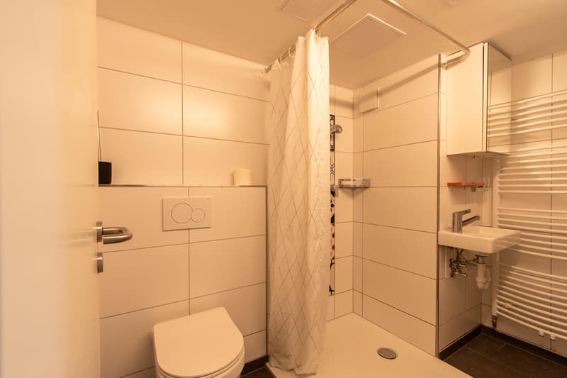 Möblierte 1.5 Zimmer-Wohnung mit Terrasse an bevorzugter Lage (10)