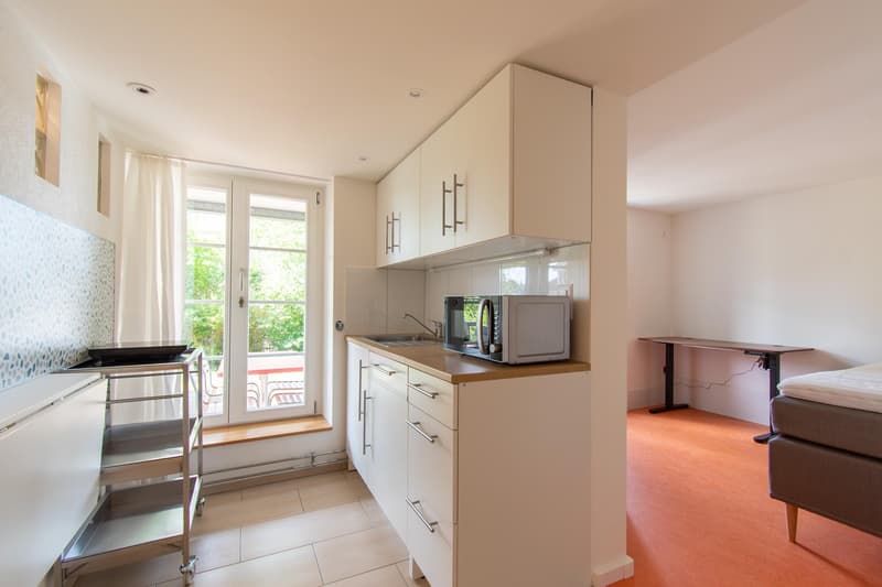 Möblierte 1.5 Zimmer-Wohnung mit Terrasse an bevorzugter Lage (1)