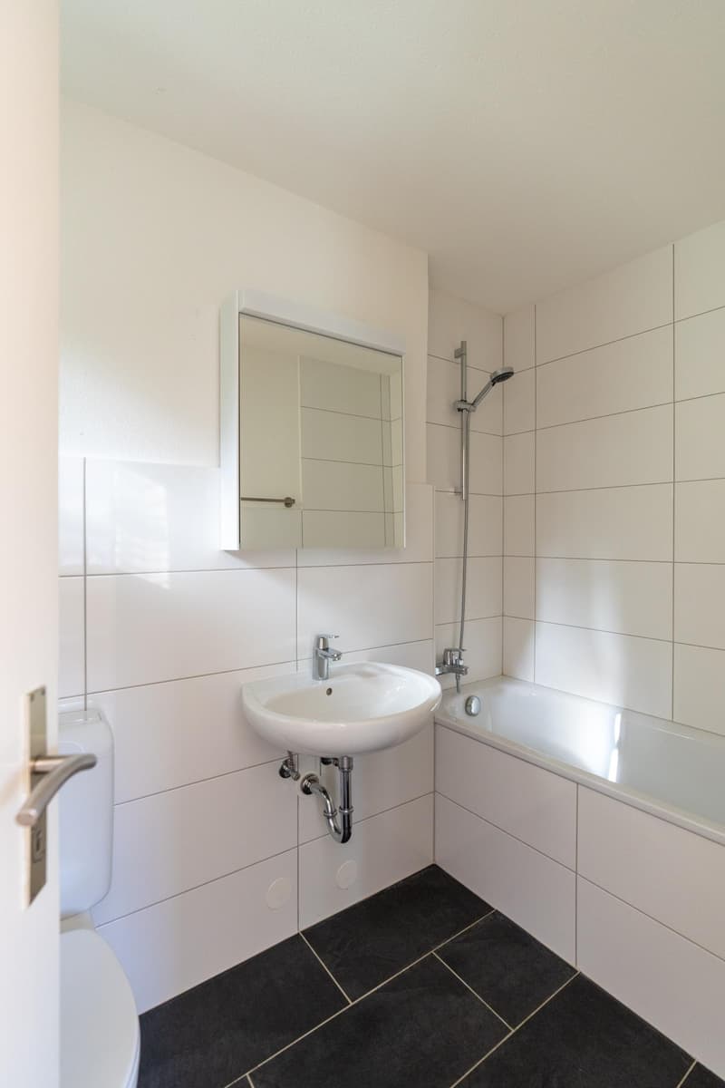 Rénové et lumineux 2.5 pièces avec balcon (10)