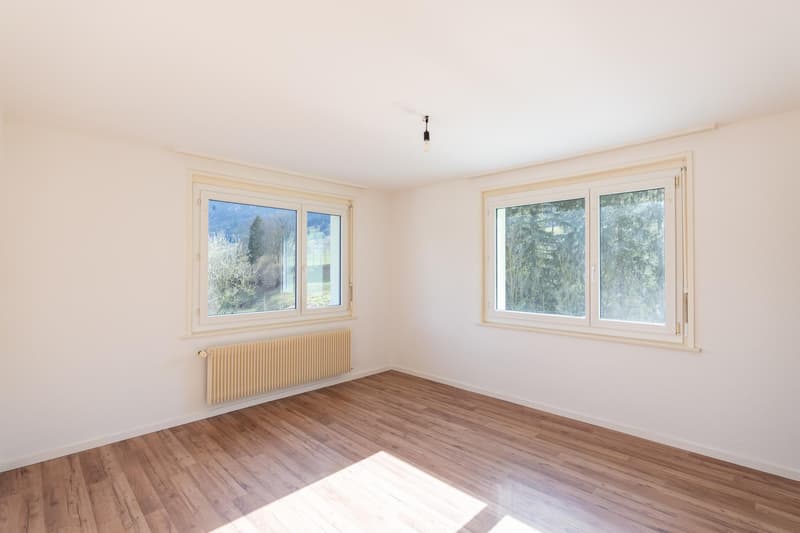 Rénové et lumineux 2.5 pièces avec balcon (2)