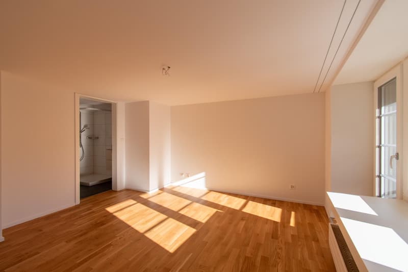 Helle 1.5 Zimmer-Wohnung mit Balkon in der Altstadt (12)