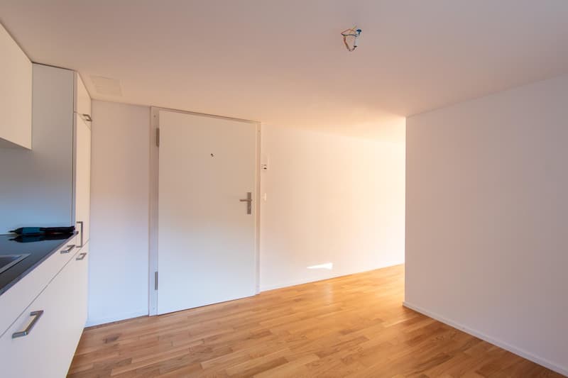 Helle 1.5 Zimmer-Wohnung mit Balkon in der Altstadt (8)
