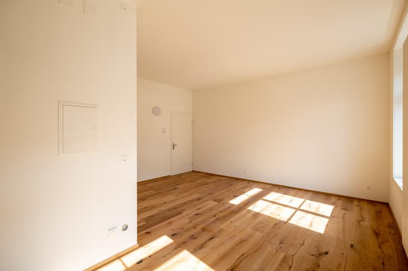 Moderne, hochwertige Studiowohnung mit Altbaucharme (8)