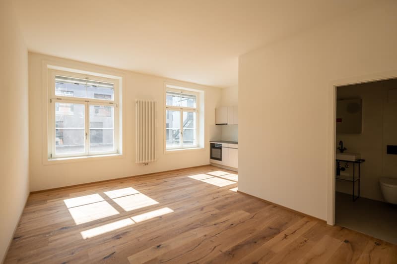 Moderne, hochwertige Studiowohnung mit Altbaucharme (1)