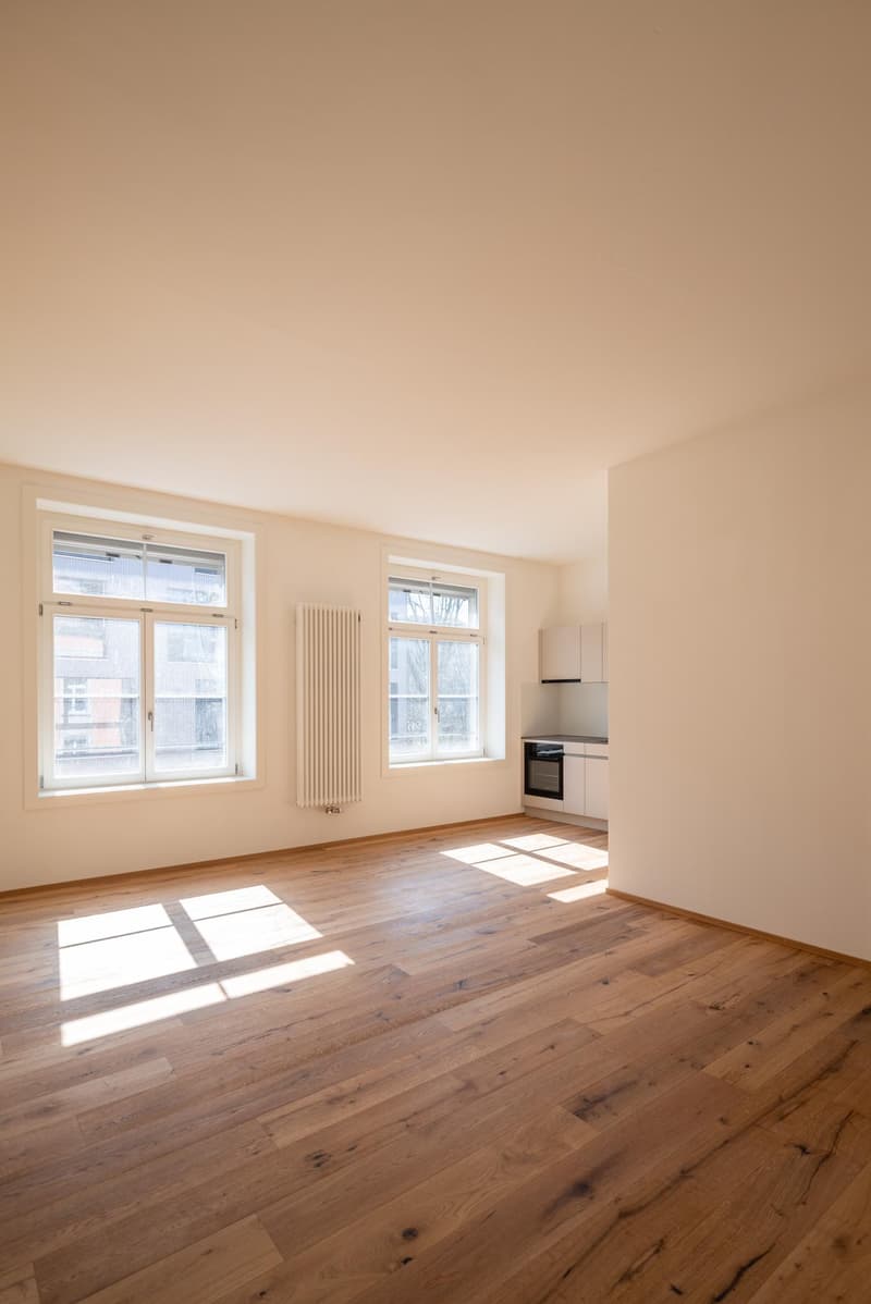 Moderne, hochwertige Studiowohnung mit Altbaucharme (7)