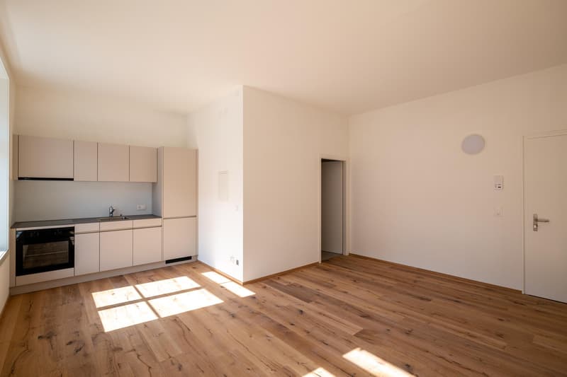 Moderne, hochwertige Studiowohnung mit Altbaucharme (3)