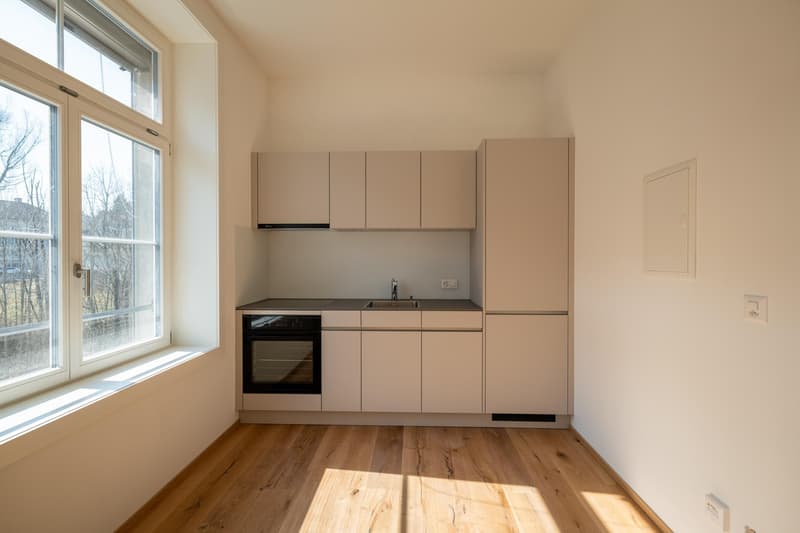 Moderne, hochwertige Studiowohnung mit Altbaucharme (4)