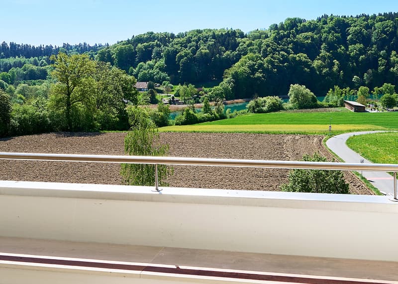 Grosszügige 6.5-Zimmer-Dachwohnung mit eigener Dachterrasse in Hinterkappelen (2)
