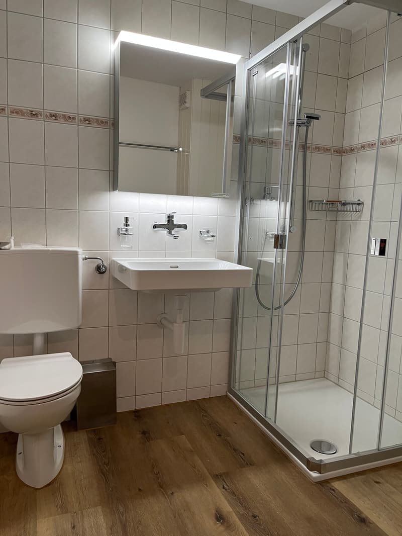 Charmante 1.5-Zimmer-Dachwohnung mit Blick auf den Murtensee (7)