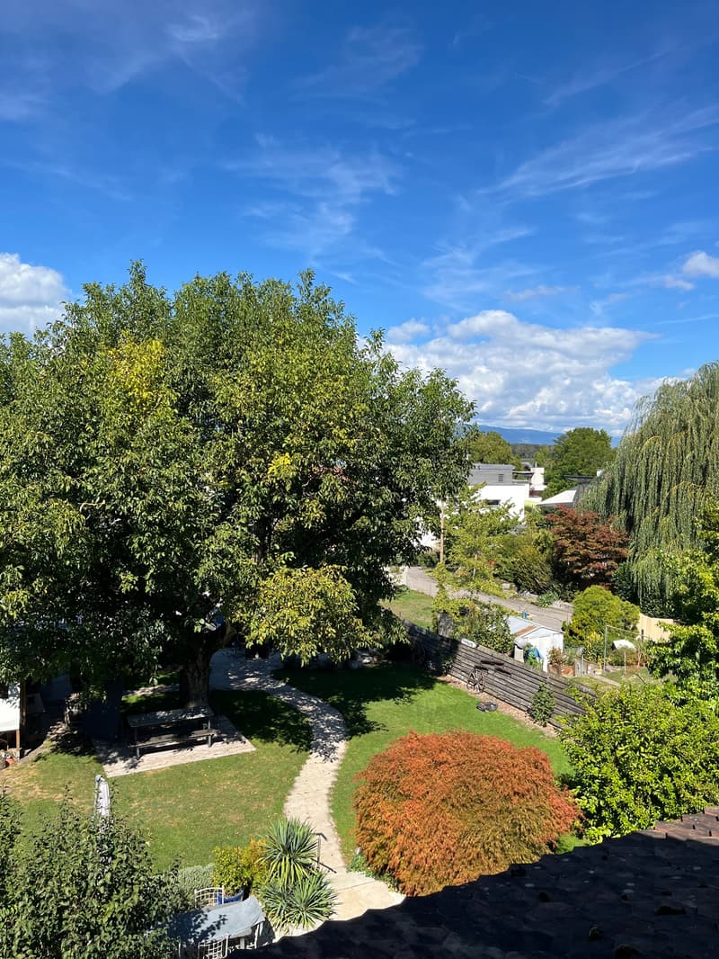 Charmante 1.5-Zimmer-Dachwohnung mit Blick auf den Murtensee (3)