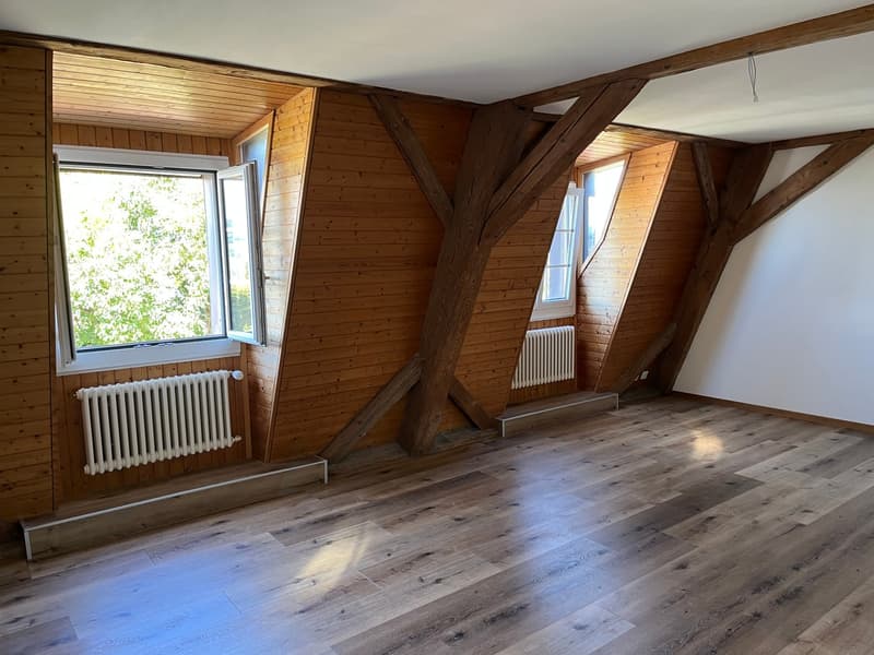 Charmante 1.5-Zimmer-Dachwohnung mit Blick auf den Murtensee (4)