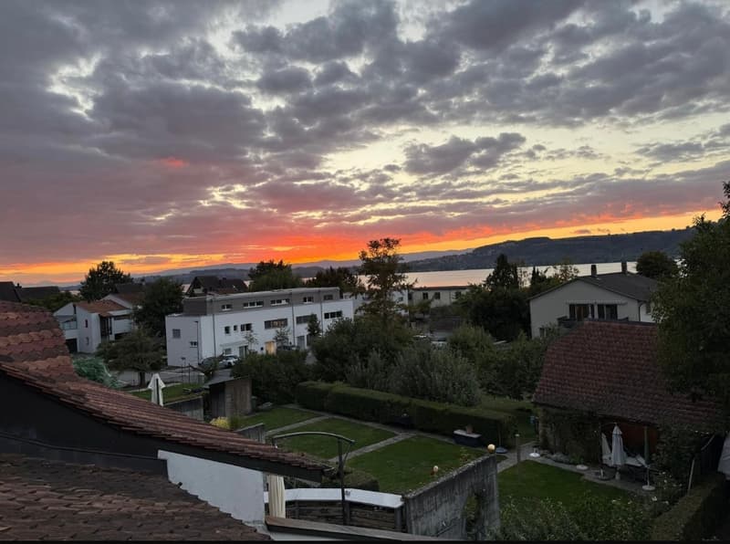 Charmante 1.5-Zimmer-Dachwohnung mit Blick auf den Murtensee (8)