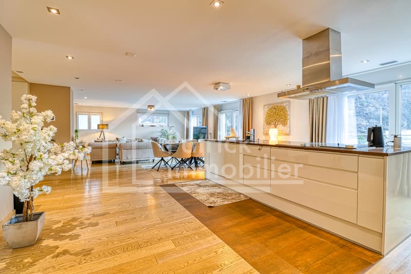Magnifique attique de 165m2 au coeur d'Aproz (2)