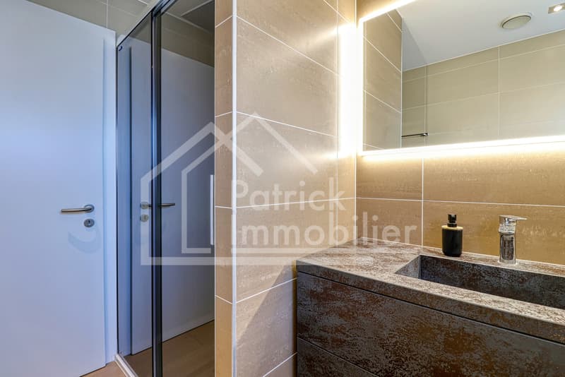 Magnifique attique de 165m2 au coeur d'Aproz (8)