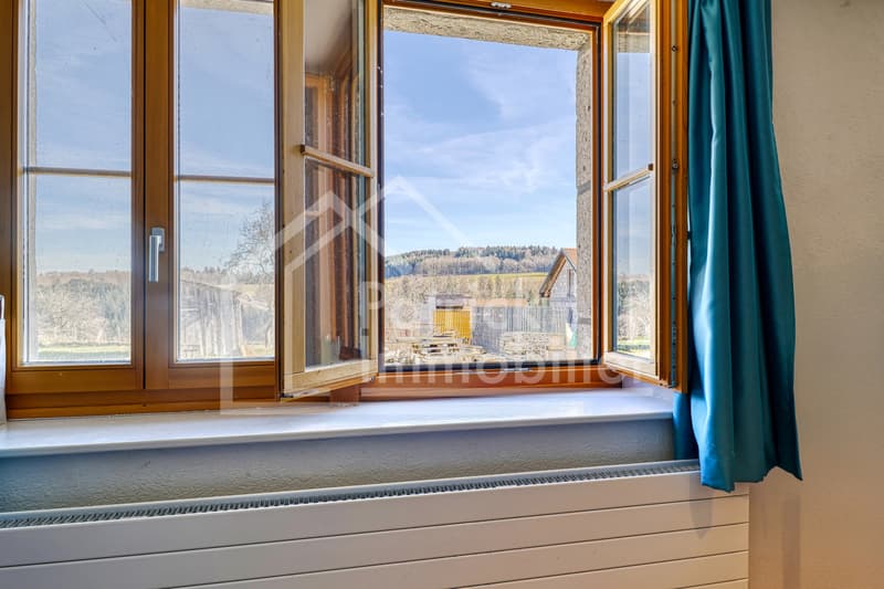 Ferme en zone village avec appartement rénové et potentiel (6)