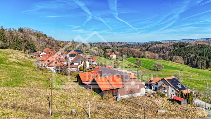 Ferme en zone village avec appartement rénové et potentiel (13)