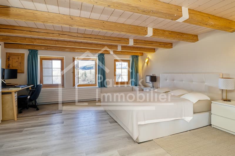 Ferme en zone village avec appartement rénové et potentiel (8)