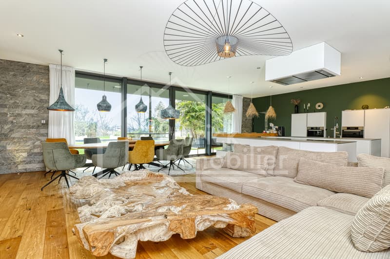 Villa contemporaine d'exception avec piscine et spa à deux pas du lac (8)
