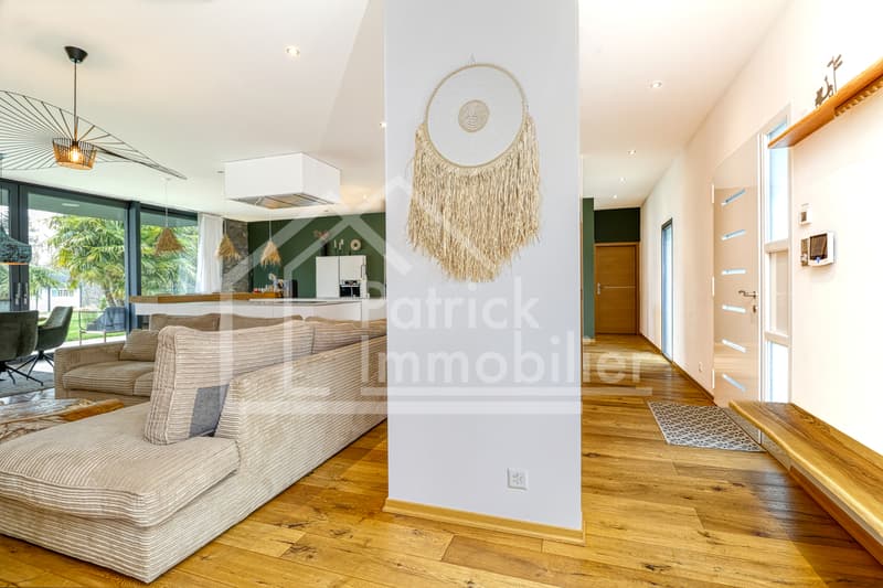 Villa contemporaine d'exception avec piscine et spa à deux pas du lac (7)