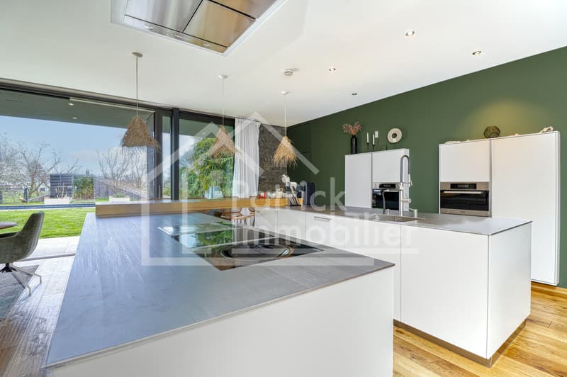 Villa contemporaine d'exception avec piscine et spa à deux pas du lac (9)