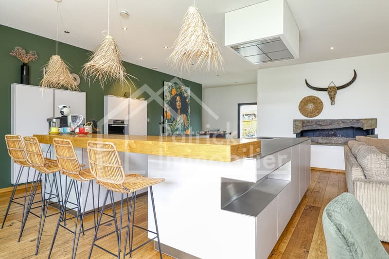 Villa contemporaine d'exception avec piscine et spa à deux pas du lac (8)