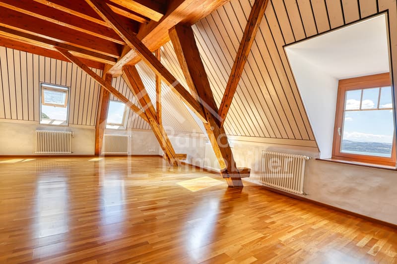 Résidence d'exception en triplex avec vue panoramique sur le lac (9)