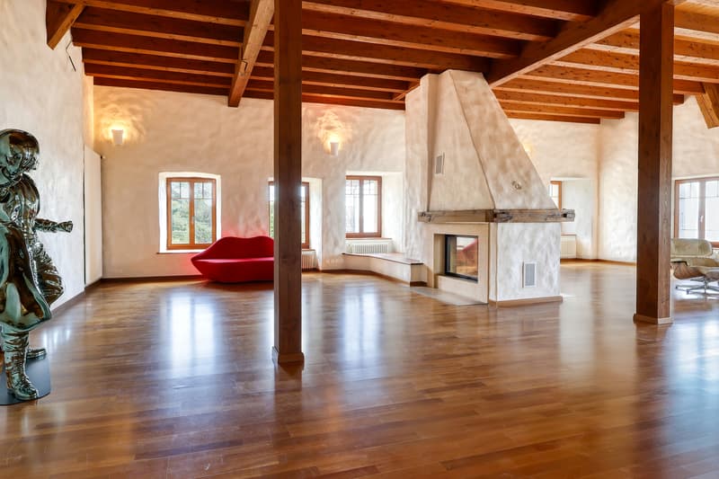 Résidence d'exception en triplex avec vue panoramique sur le lac (5)