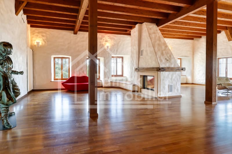 Résidence d'exception en triplex avec vue panoramique sur le lac (5)